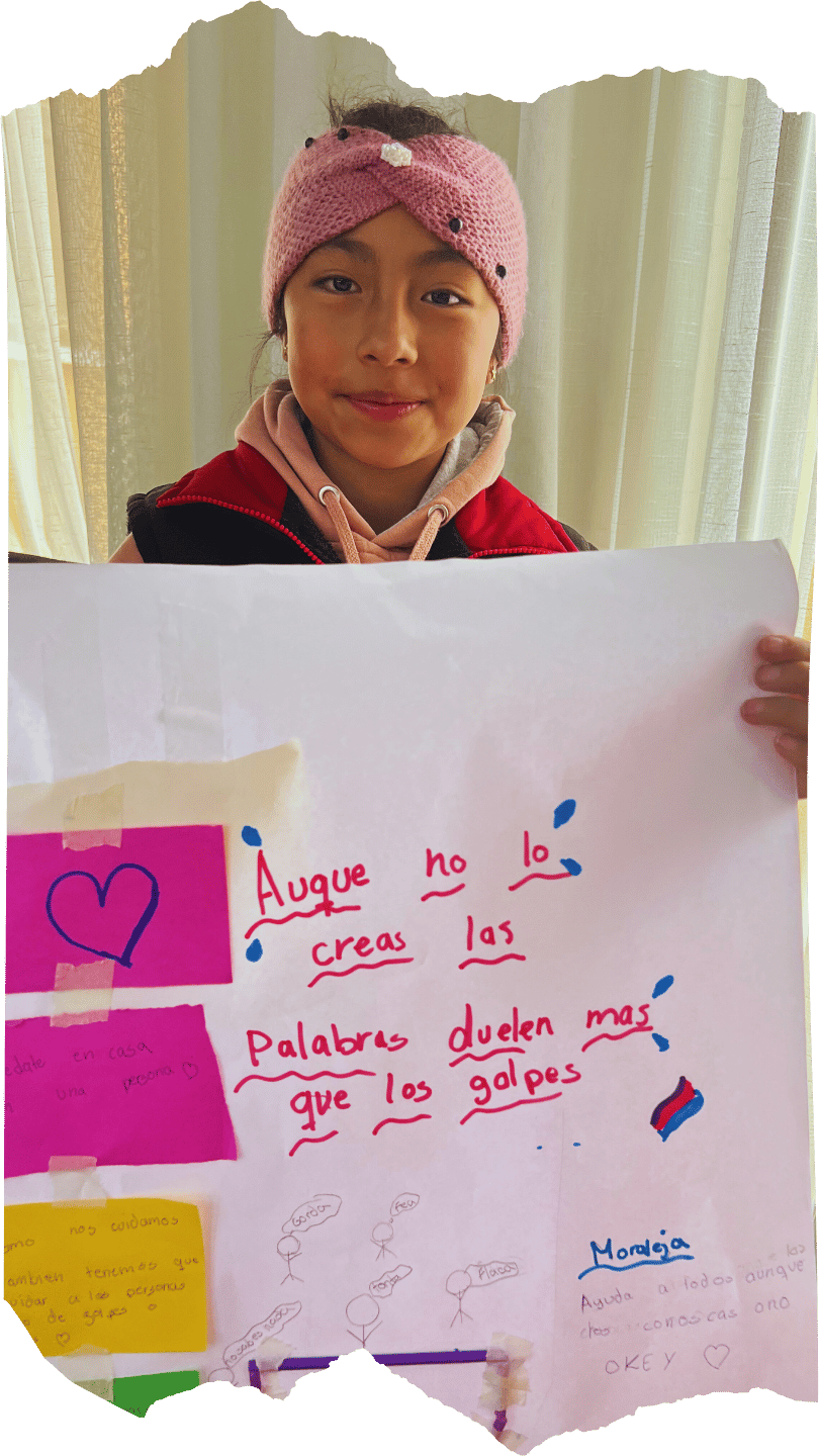 Programa de incidencia